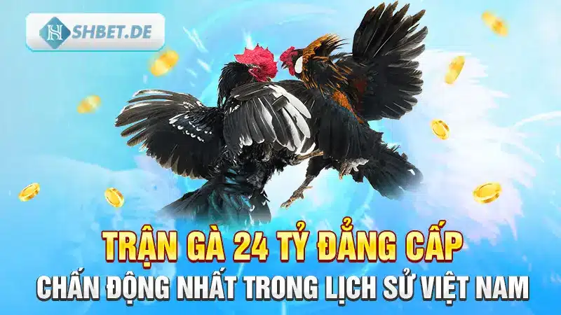 Trận gà 24 tỷ đẳng cấp, chấn động nhất trong lịch sử Việt Nam